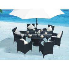 Table à manger en osier pour extérieur, intérieure avec 6 chaises / SGS (8214)